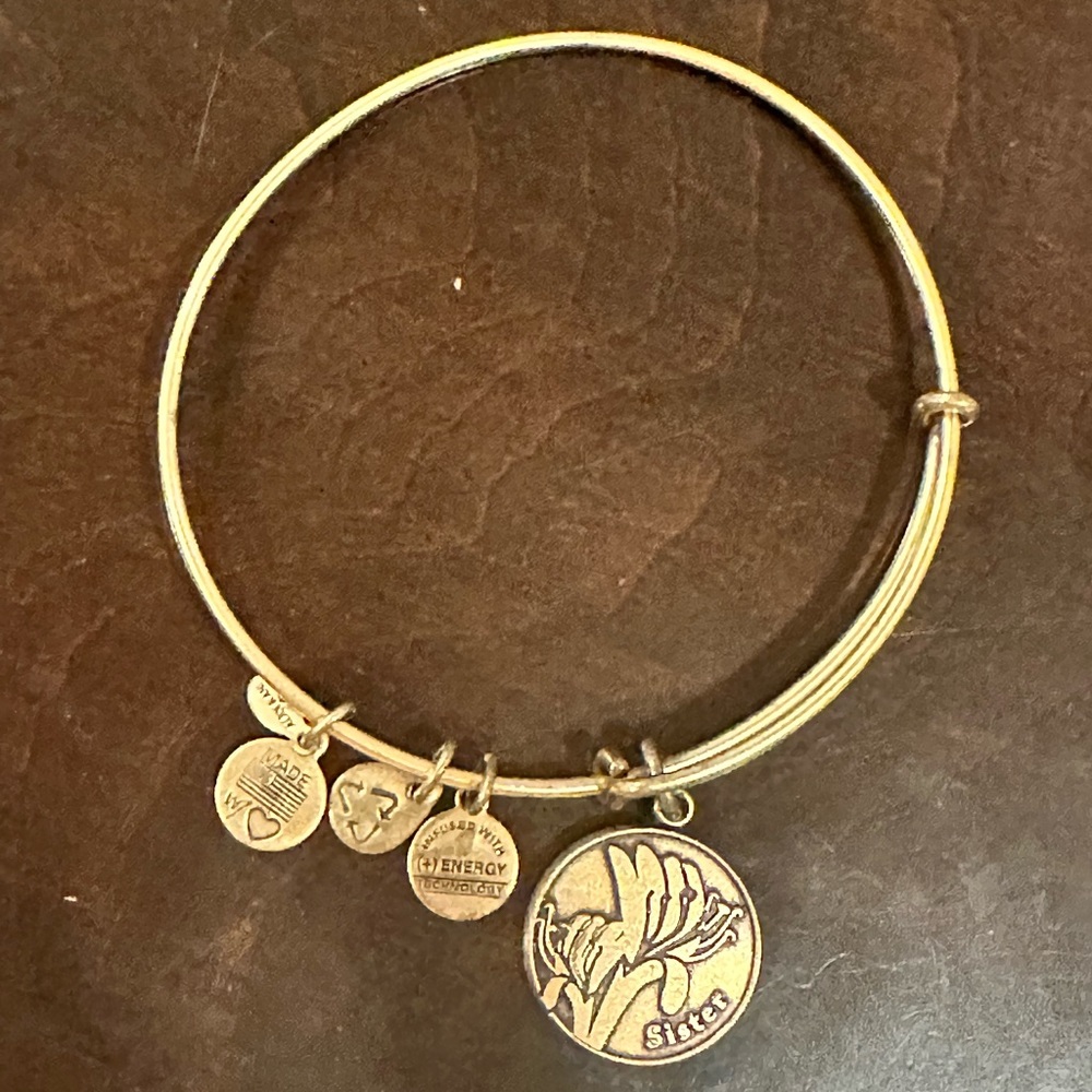Alex and ani bracelet